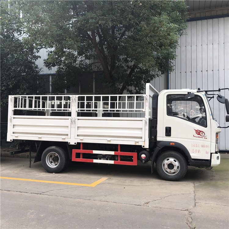 Tipo 5 carico reale del combustibile diesel del camion 5000kg di Ton Small Lorry Truck Cargo