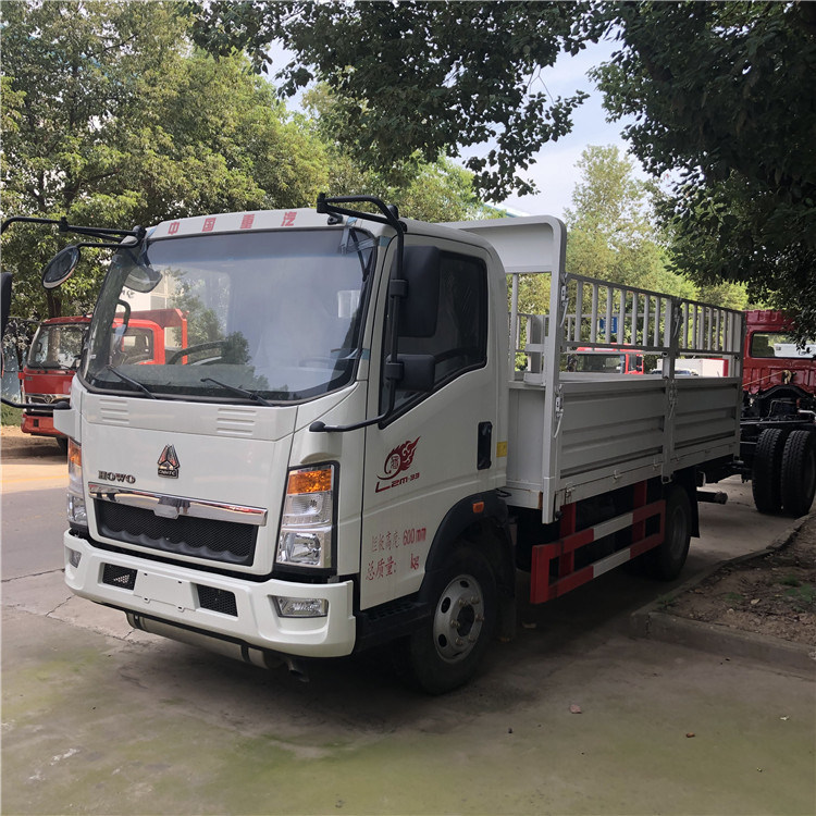 Tipo 5 carico reale del combustibile diesel del camion 5000kg di Ton Small Lorry Truck Cargo