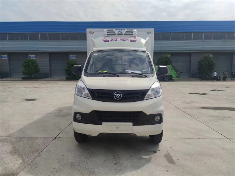 두바이에 있는 6대 바퀴 포톤 작은 랭장차 110 km/H 작은 냉장고 트럭